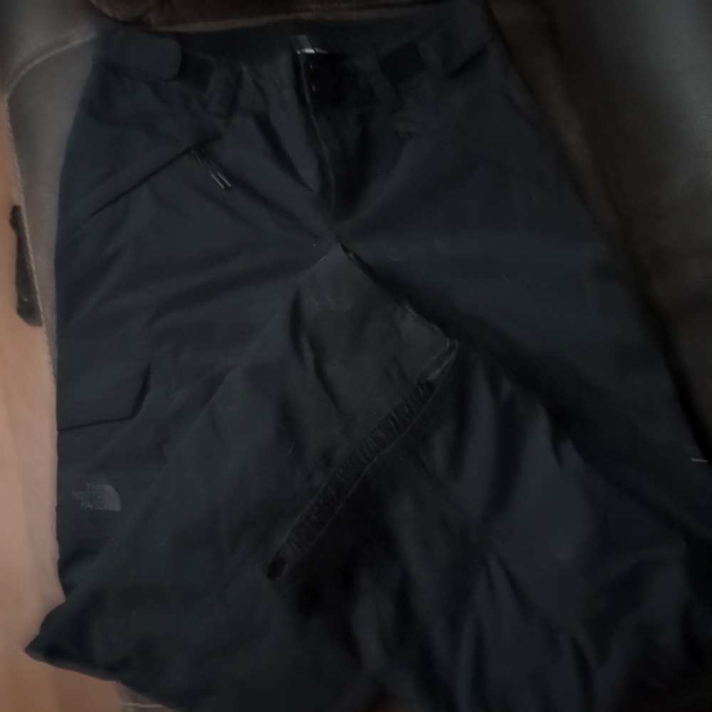 North face ski pants